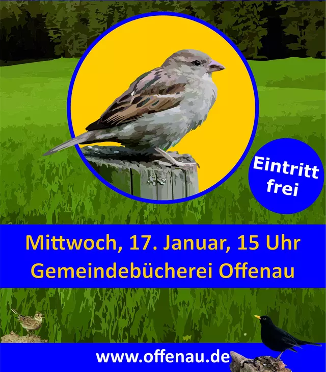 Veranstaltungsplakat zum Vogel-Vortrag mit der Sachbuchautorin Bärbel Oftring am 17. Januar um 15 Uhr in der Gemeindebücherei Offenau